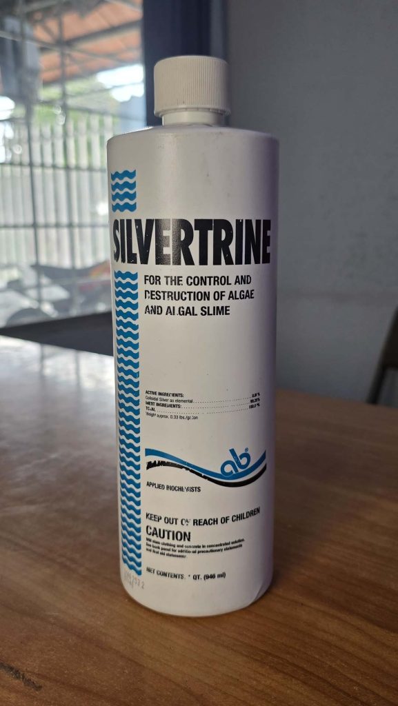 Silvertrine — Su Piscina, Costa Rica